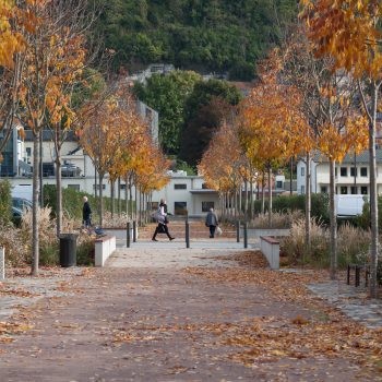 Place-Genaral-de-Gaulle-2-©Vincent Ferron