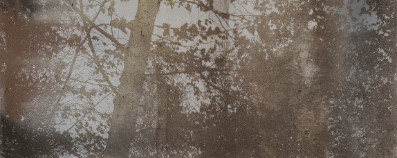 LIONEL SABATTÉ, J’IRAI PAR LA FORÊT
Exposition présentée du 21 octobre 2023 au 17 mars 2024
« J’irai par la forêt », ce célèbre vers que nous 1