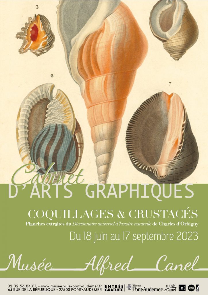Musée Canel - cabinet d'arts graphiques - Charles d'Orbigny