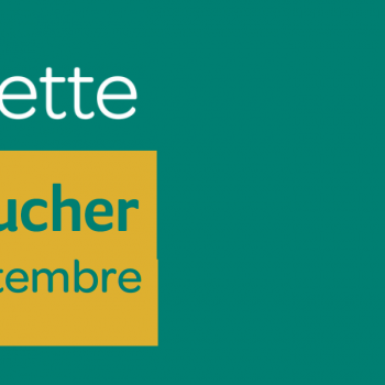 visuel pour la visite du rucher par silver fourchette