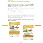 Réunion d'informations sur les espèces exotiques envahissantes et frelons asiatiques