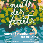 Nuit des forêt