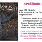actualité précédente