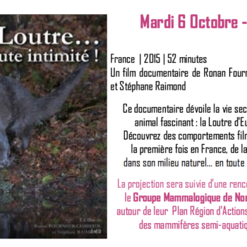 affiche Loutre