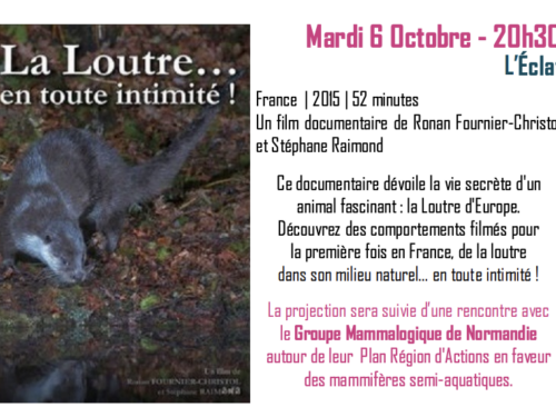 affiche Loutre